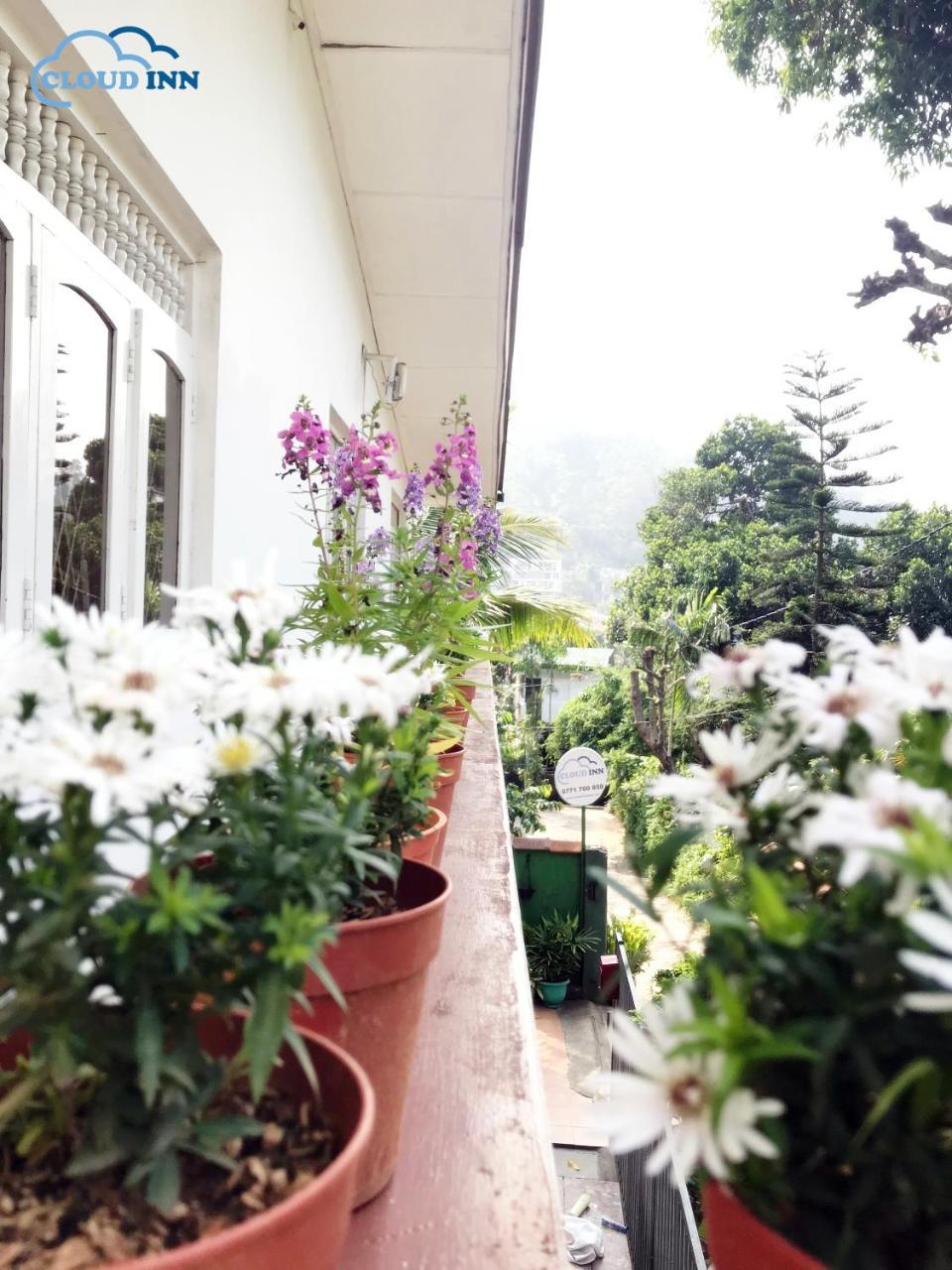 Cloud Inn Kandy Homestay Zewnętrze zdjęcie